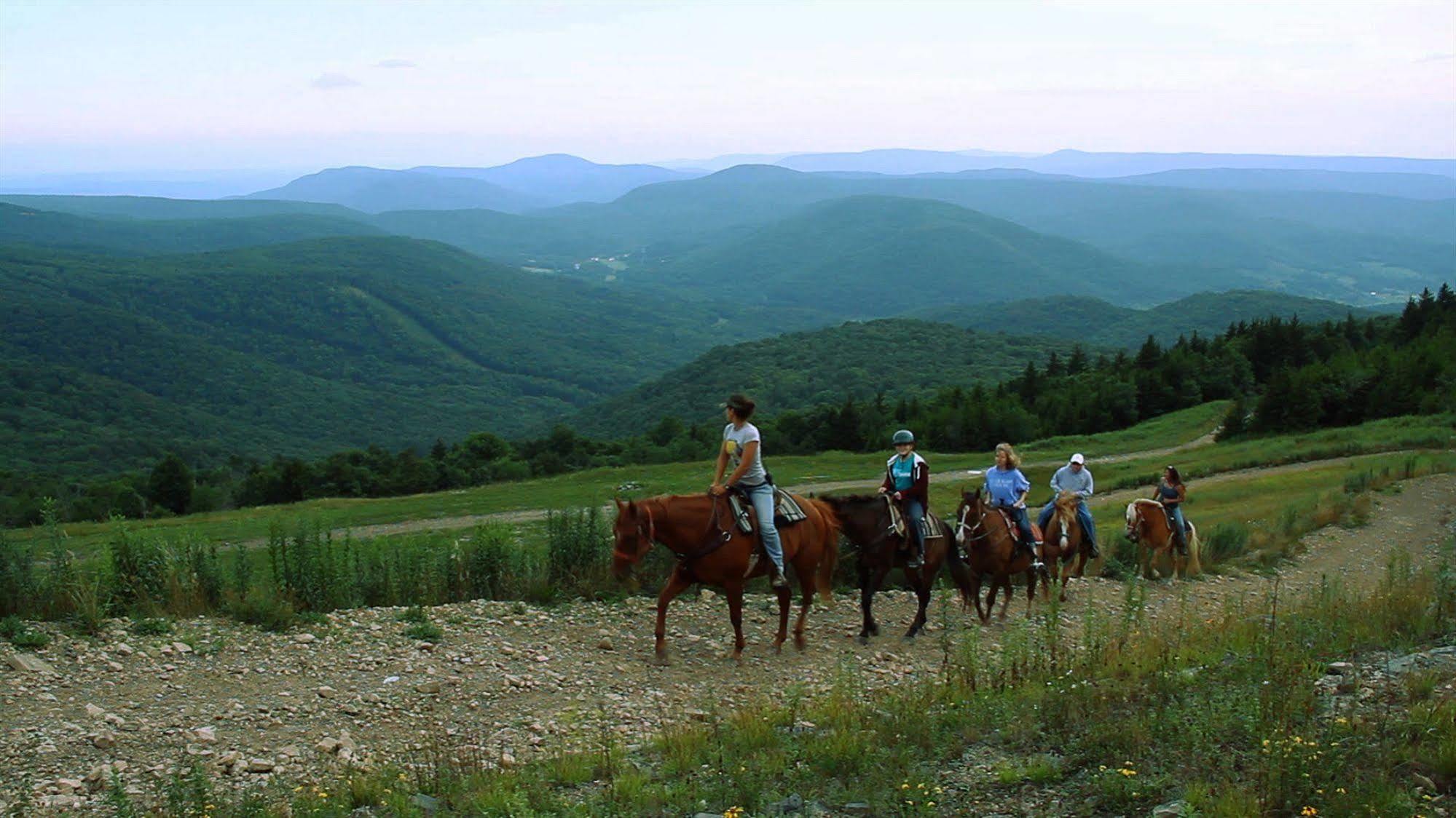Allegheny Springs Сноушу Экстерьер фото